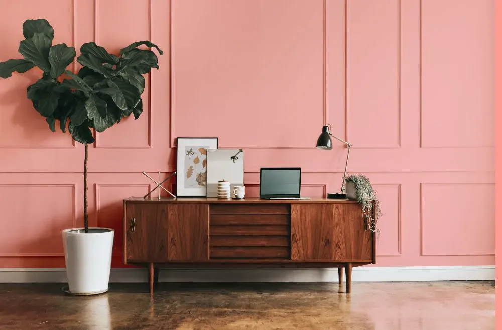 Benjamin Moore Dawn Pink modern interior