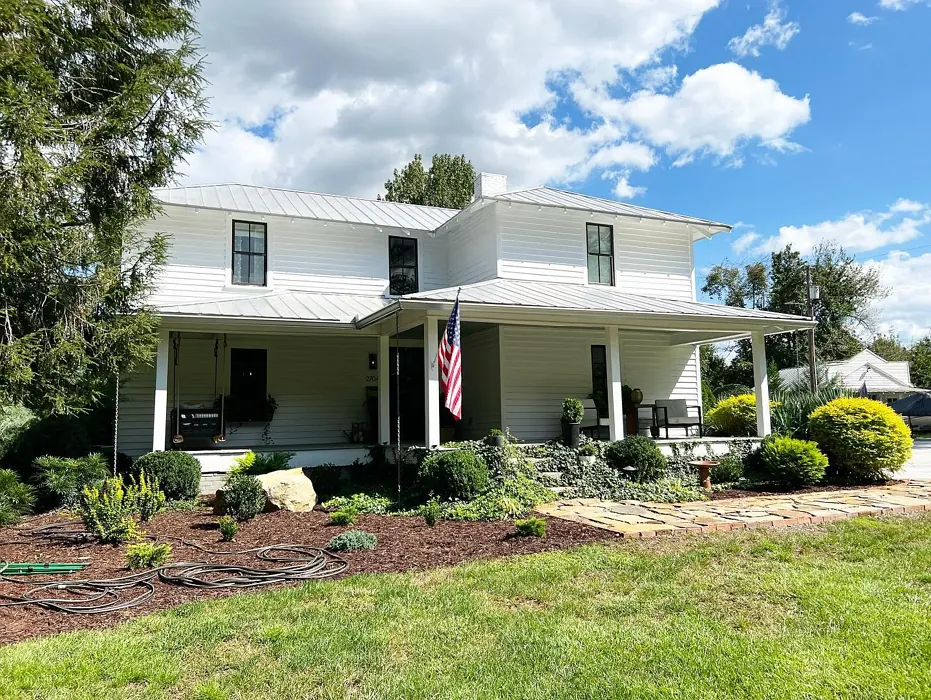 Decorator'S White House Exterior