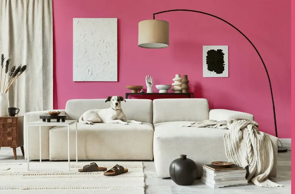 Benjamin Moore Deep Carnation cozy living room