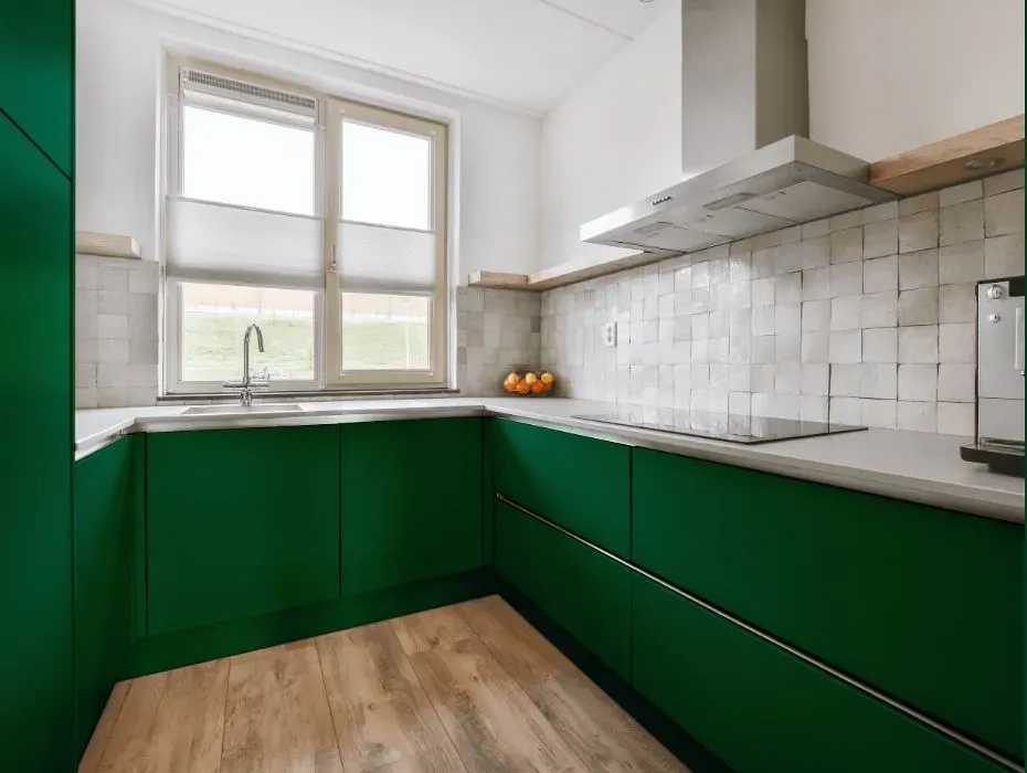 Benjamin Moore Deep Green small kitchen cabinets