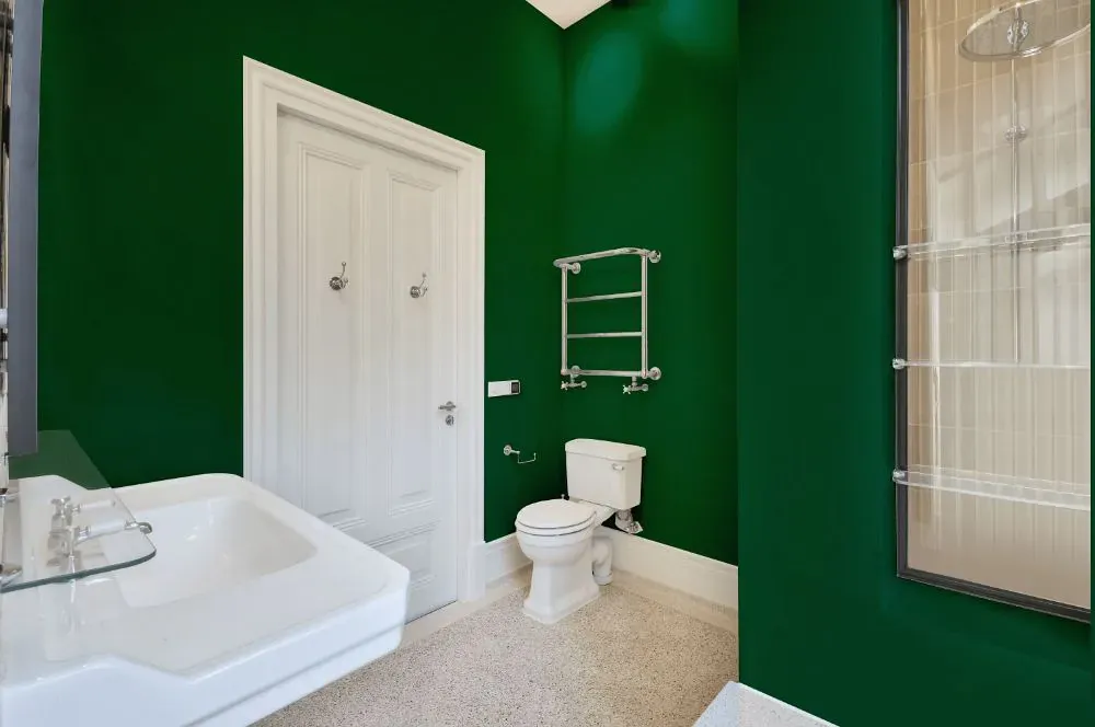 Benjamin Moore Deep Green bathroom
