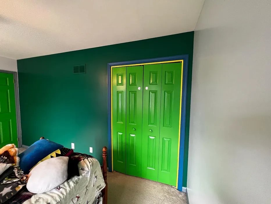 Benjamin Moore Deep Green accent wall 