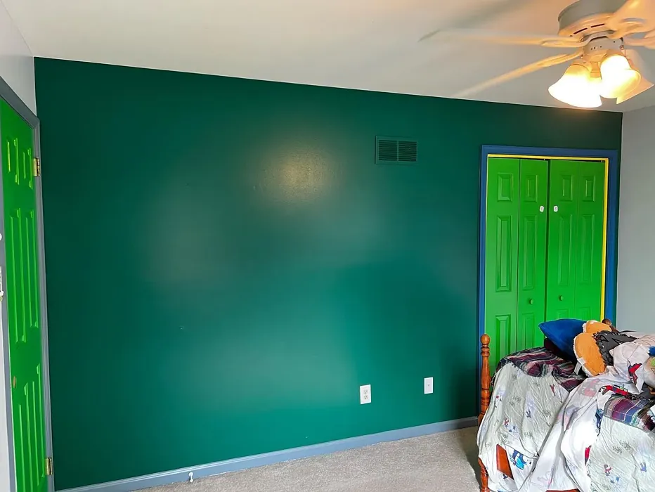 Benjamin Moore Deep Green accent wall color