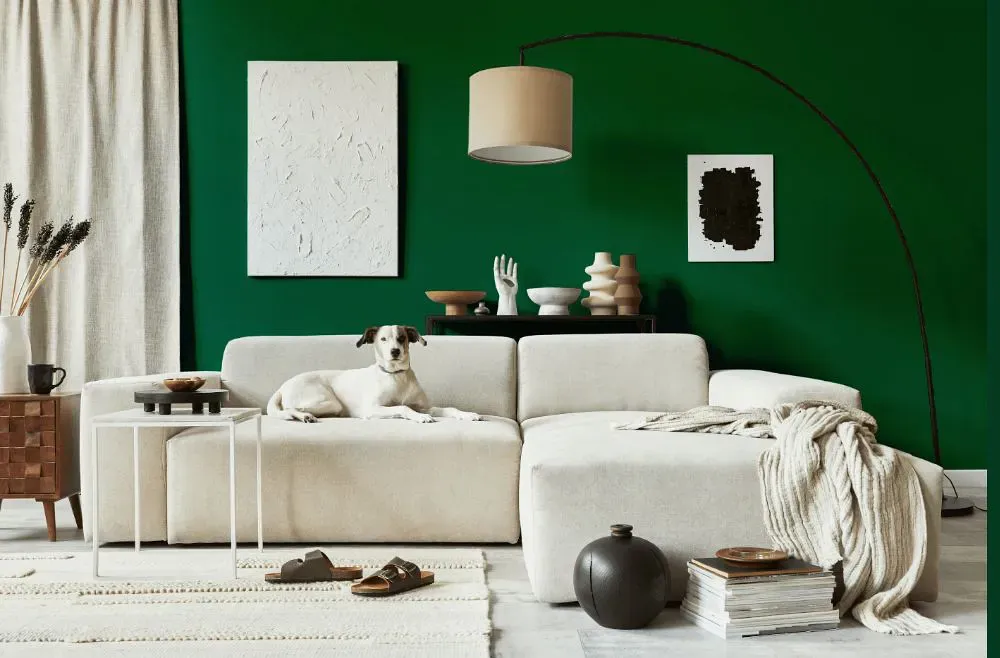 Benjamin Moore Deep Green cozy living room