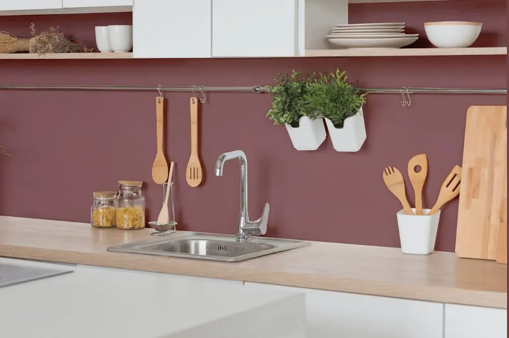 Benjamin Moore Deep Mauve kitchen backsplash