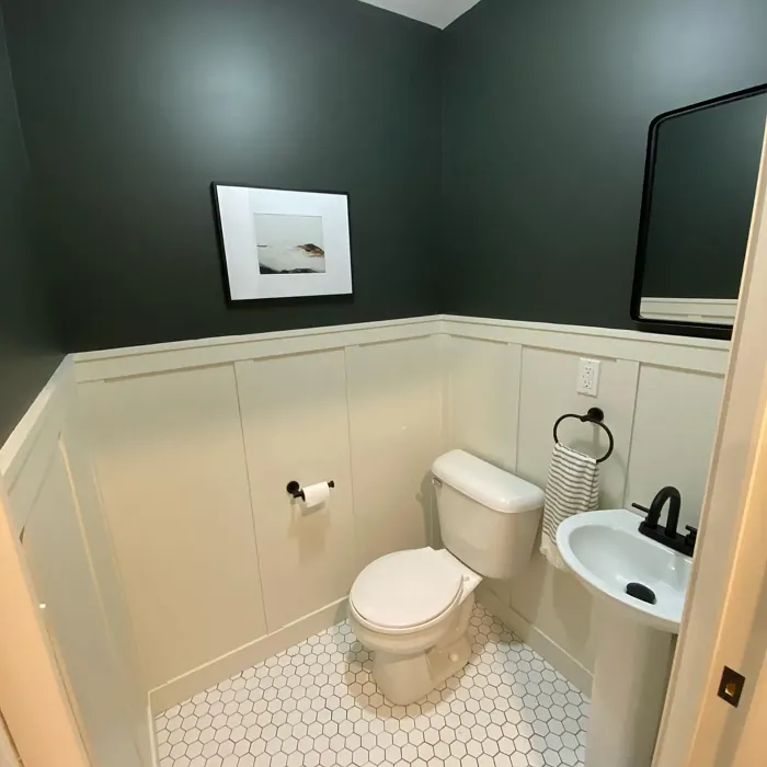 Benjamin Moore Deep River bathroom paint review
