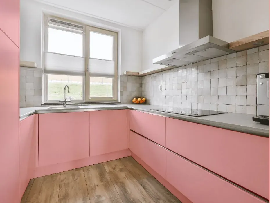 Benjamin Moore Delicate Rose small kitchen cabinets