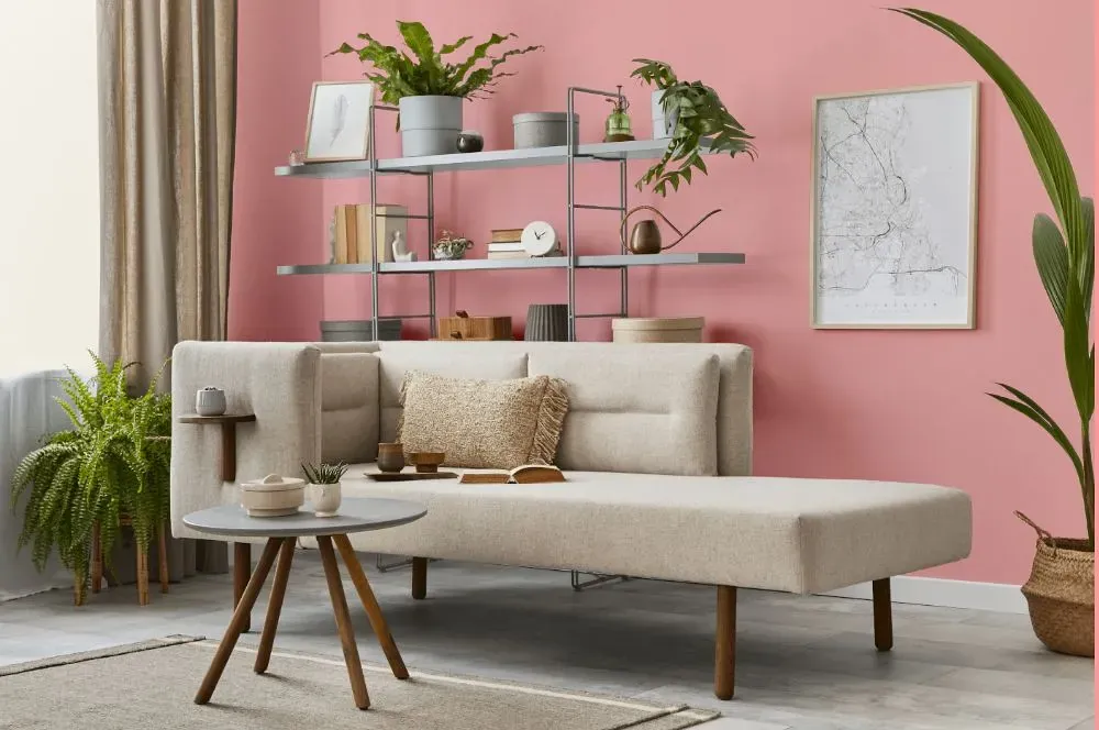 Benjamin Moore Delicate Rose living room