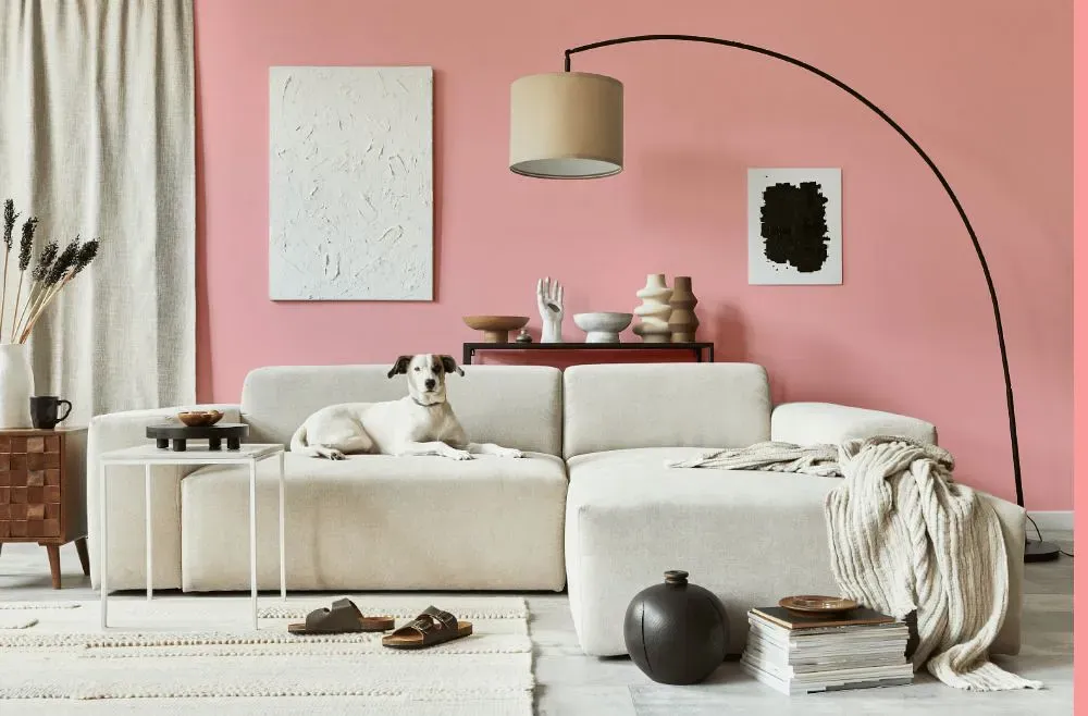 Benjamin Moore Delicate Rose cozy living room