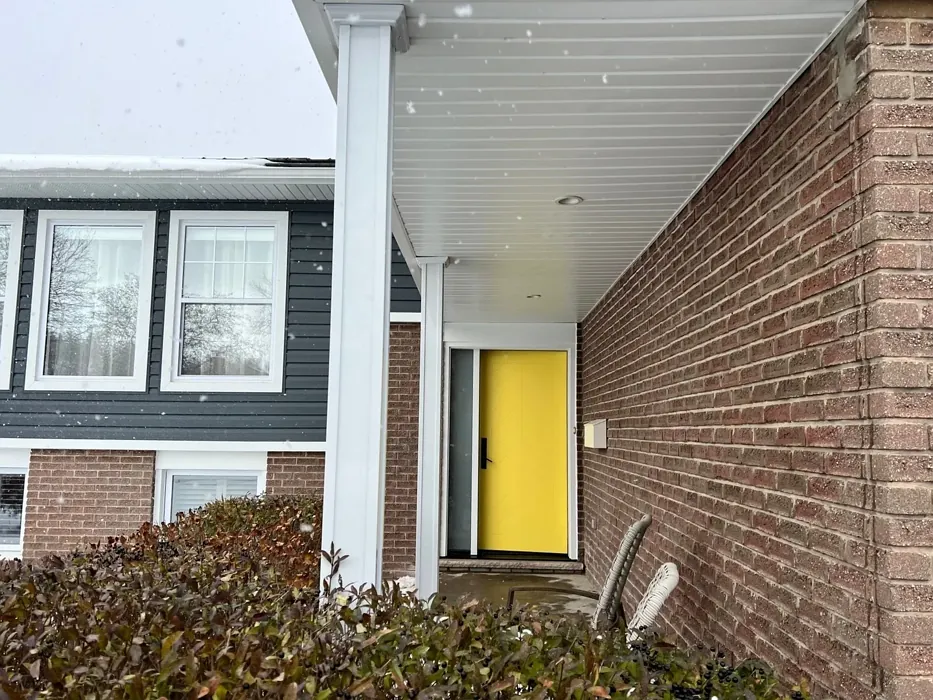 Benjamin Moore Delightful Yellow front door 