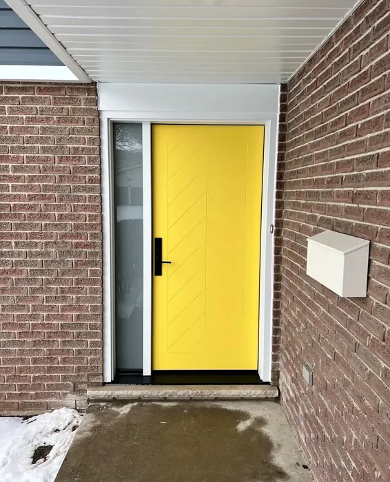 Benjamin Moore Delightful Yellow front door color