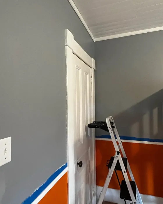 Benjamin Moore Delray Gray wall paint color review
