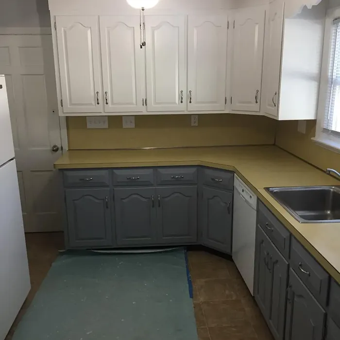 Benjamin Moore Delray Gray kitchen cabinets 