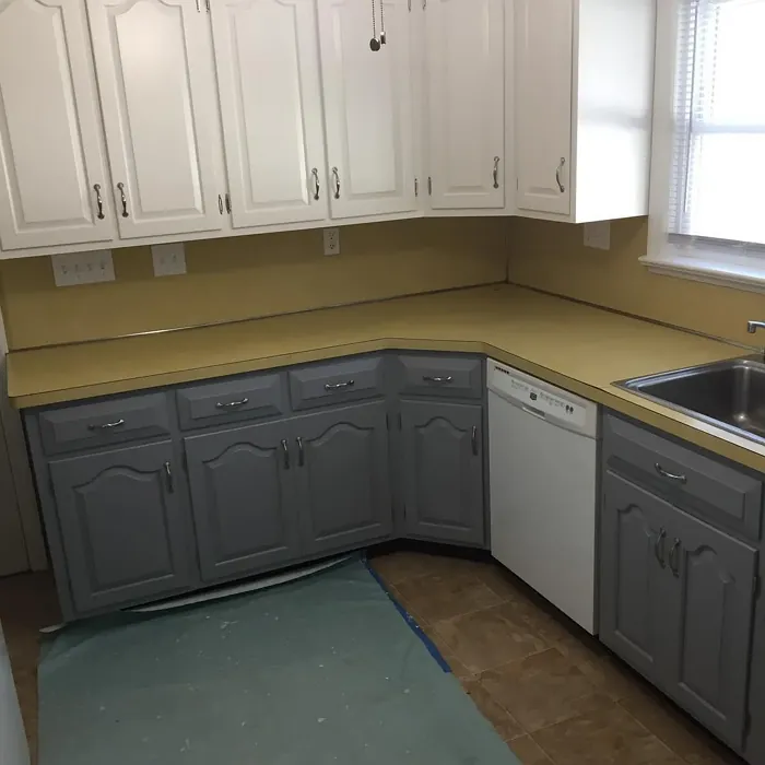 Benjamin Moore Delray Gray kitchen cabinets color