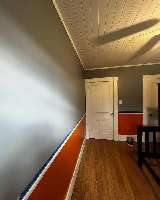 Delray Gray wall paint review