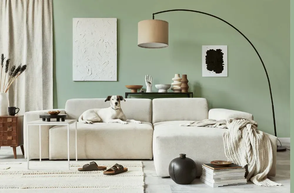 Benjamin Moore Desert Green cozy living room