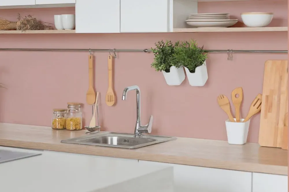 Benjamin Moore Desert Rose kitchen backsplash