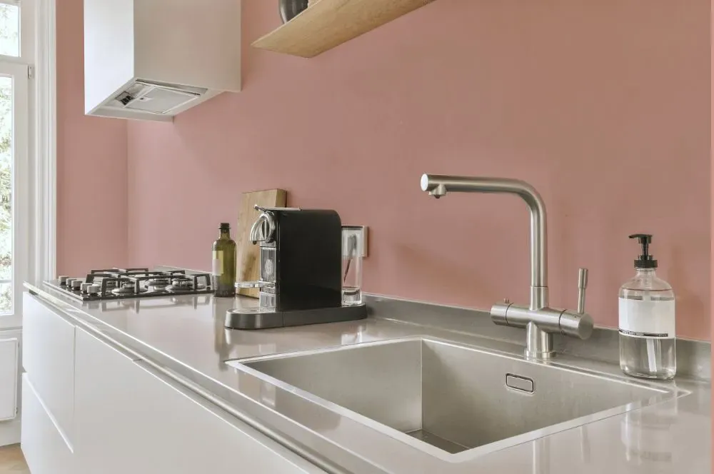 Benjamin Moore Desert Rose kitchen painted backsplash