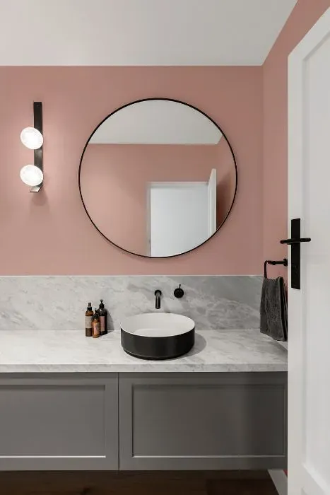 Benjamin Moore Desert Rose minimalist bathroom