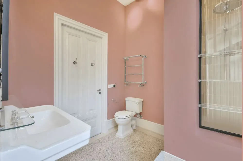 Benjamin Moore Desert Rose bathroom