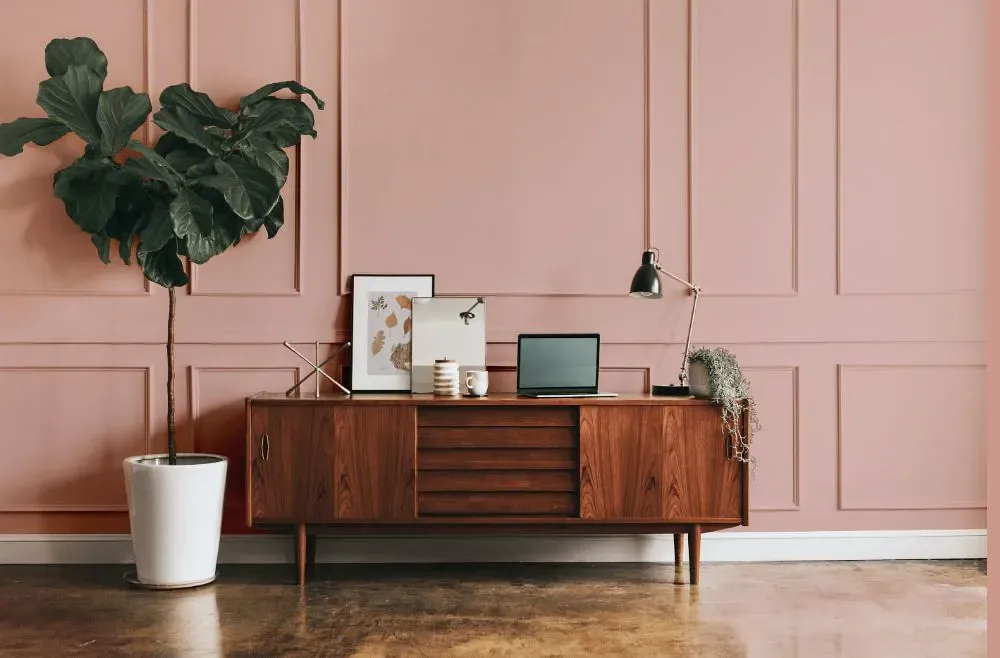 Benjamin Moore Desert Rose modern interior