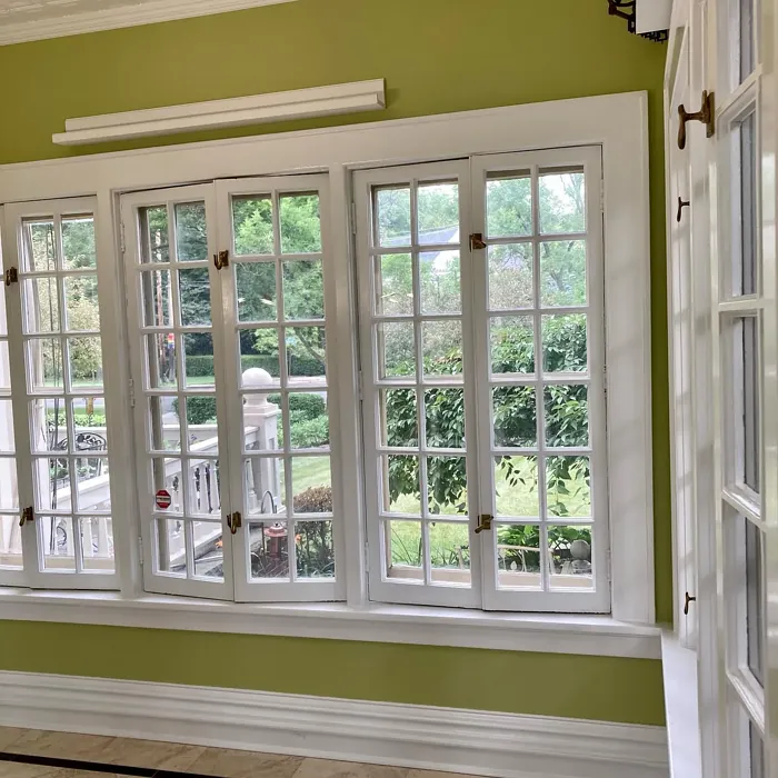 Benjamin Moore Dill Pickle wall paint 