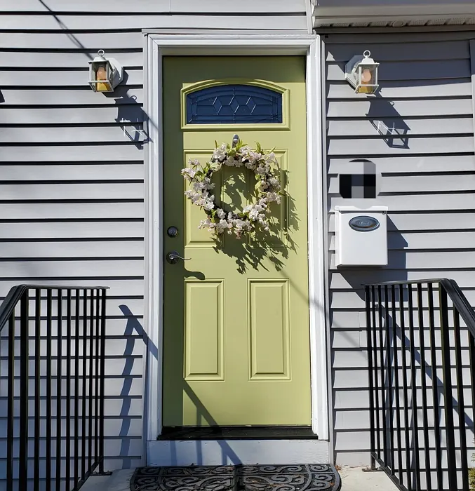 Benjamin Moore Dill Pickle front door color