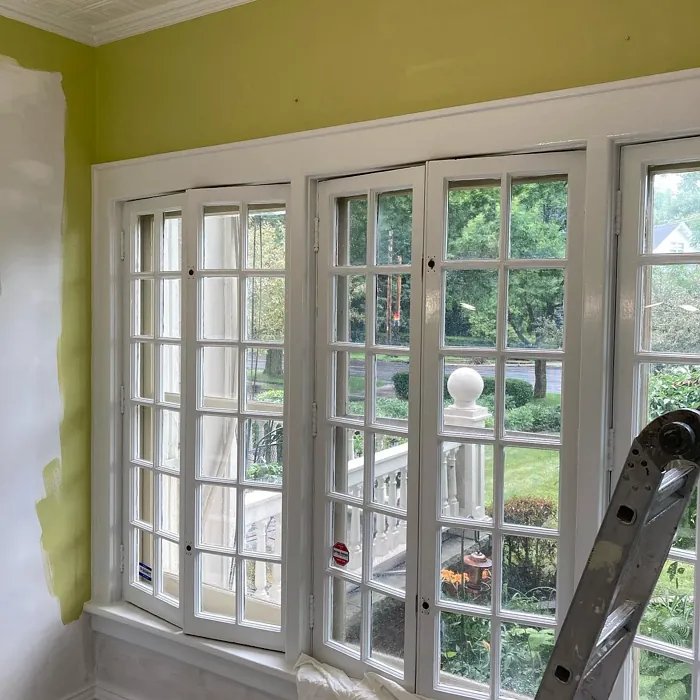 Benjamin Moore Dill Pickle wall paint makeover