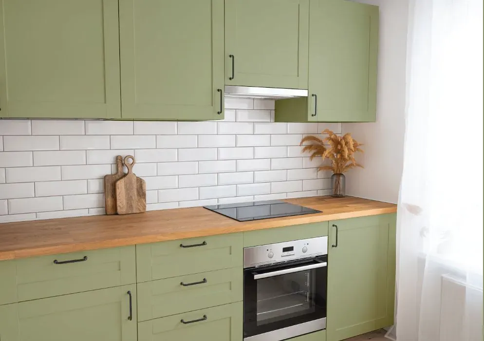 Benjamin Moore Dill Weed kitchen cabinets