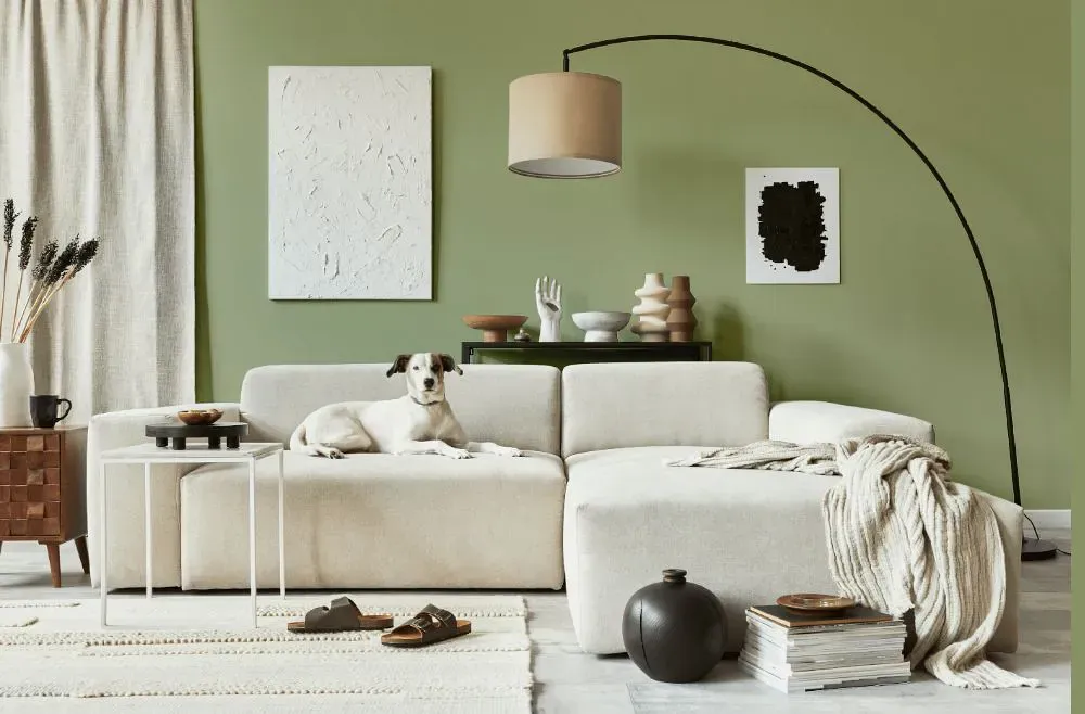 Benjamin Moore Dill Weed cozy living room