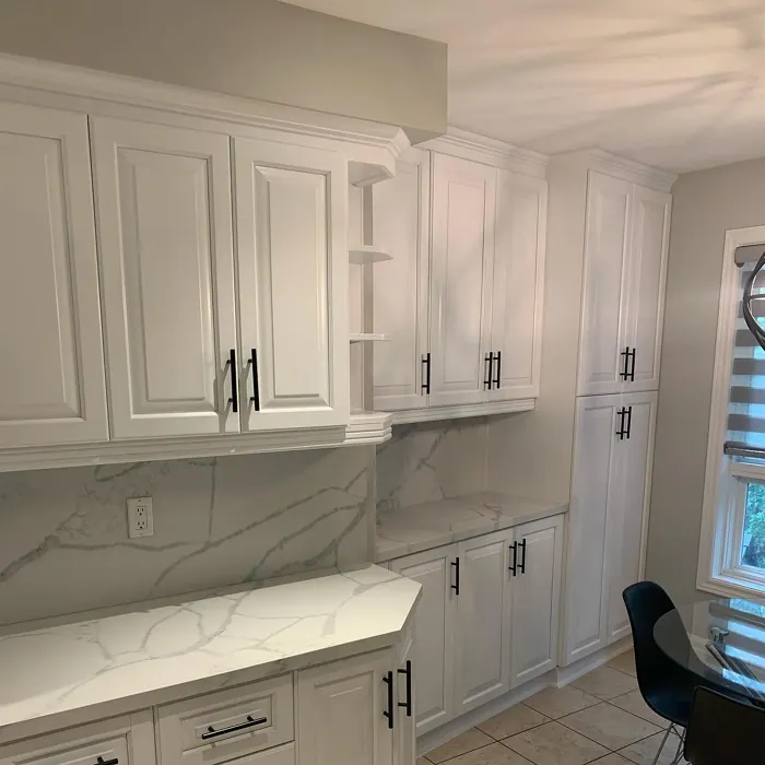 Distant Gray kitchen cabinets color
