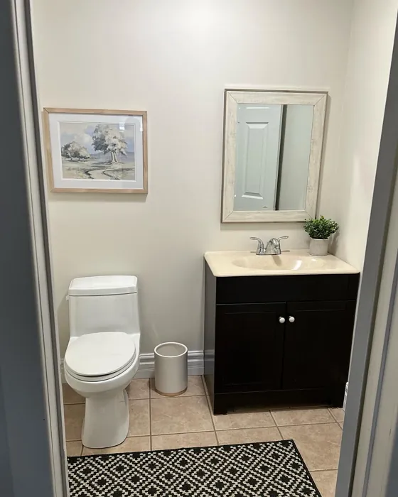 Benjamin Moore Dove Wing bathroom color review