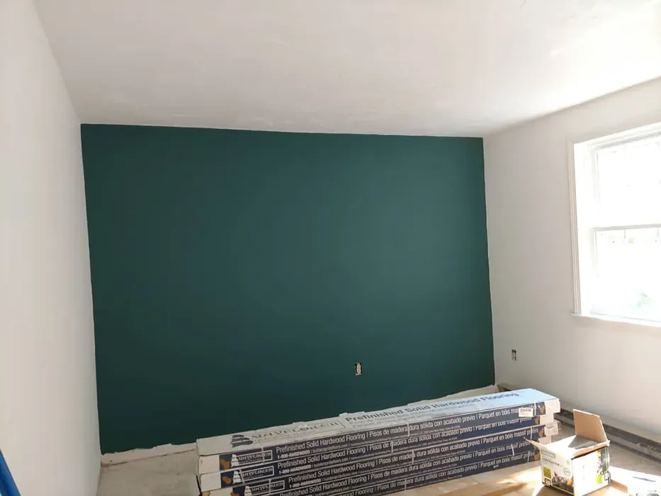 Benjamin Moore Dragonfly accent wall 
