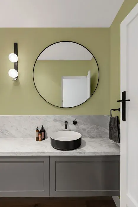 Benjamin Moore Dried Parsley minimalist bathroom