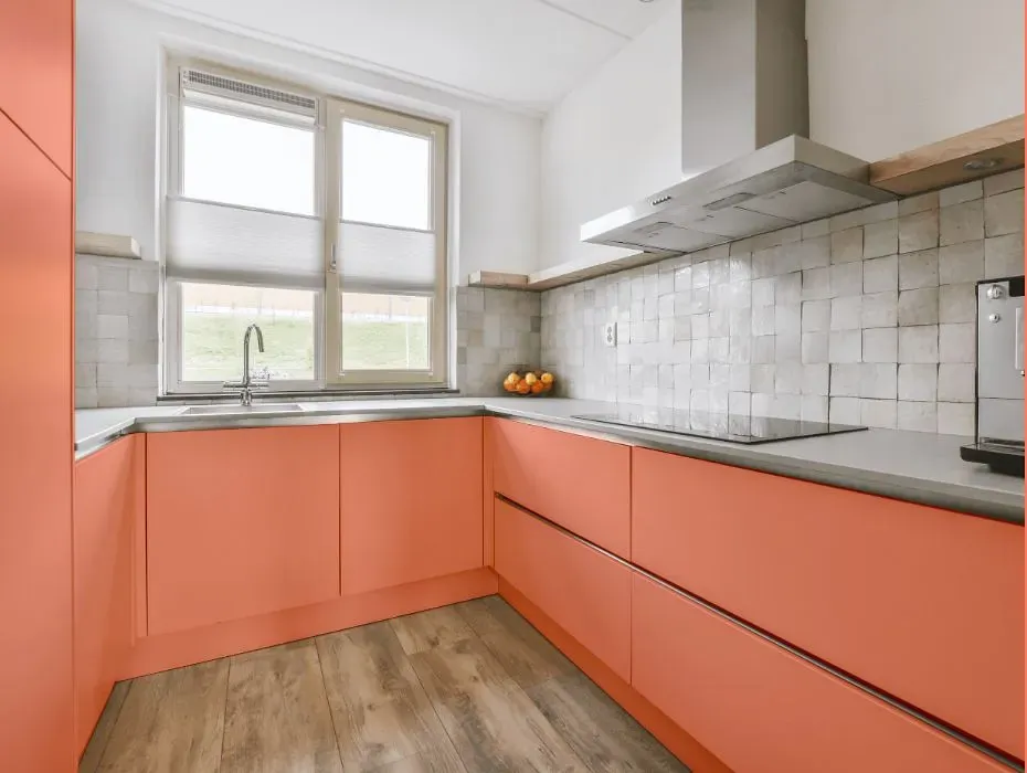 Benjamin Moore Dusk Pink small kitchen cabinets