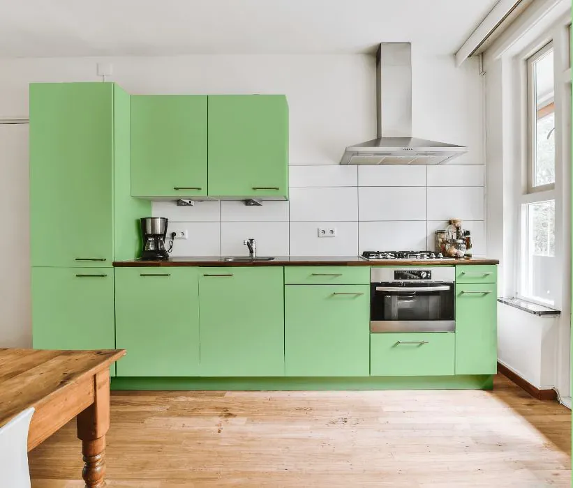 Benjamin Moore Early Spring Green kitchen cabinets