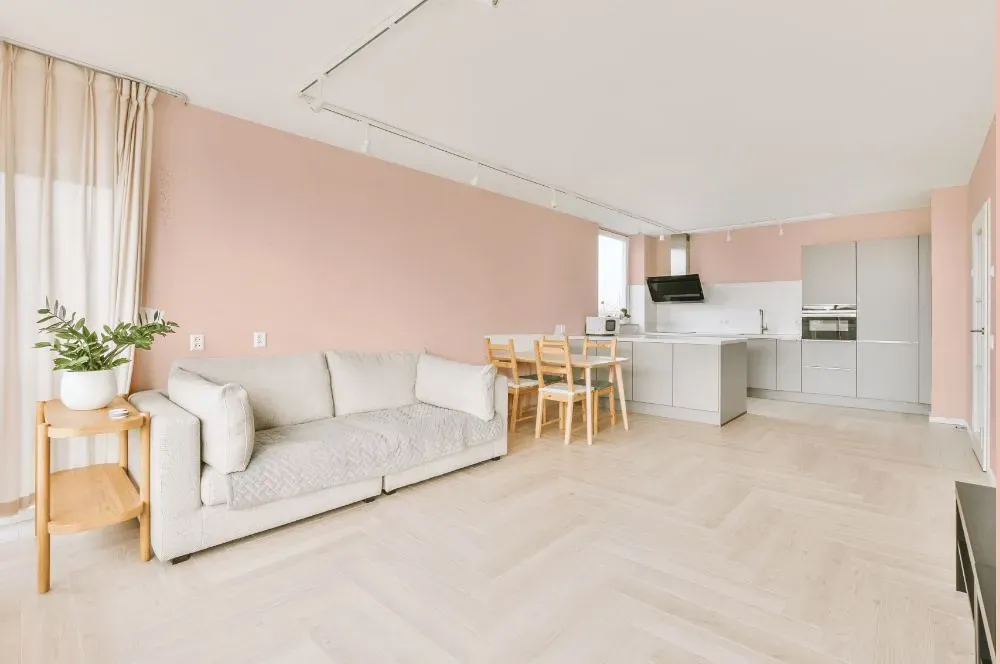 Benjamin Moore East Lake Rose living room interior