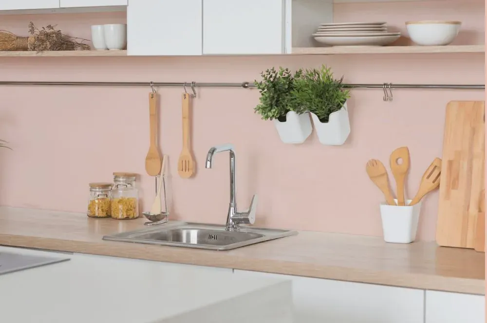 Benjamin Moore East Lake Rose kitchen backsplash