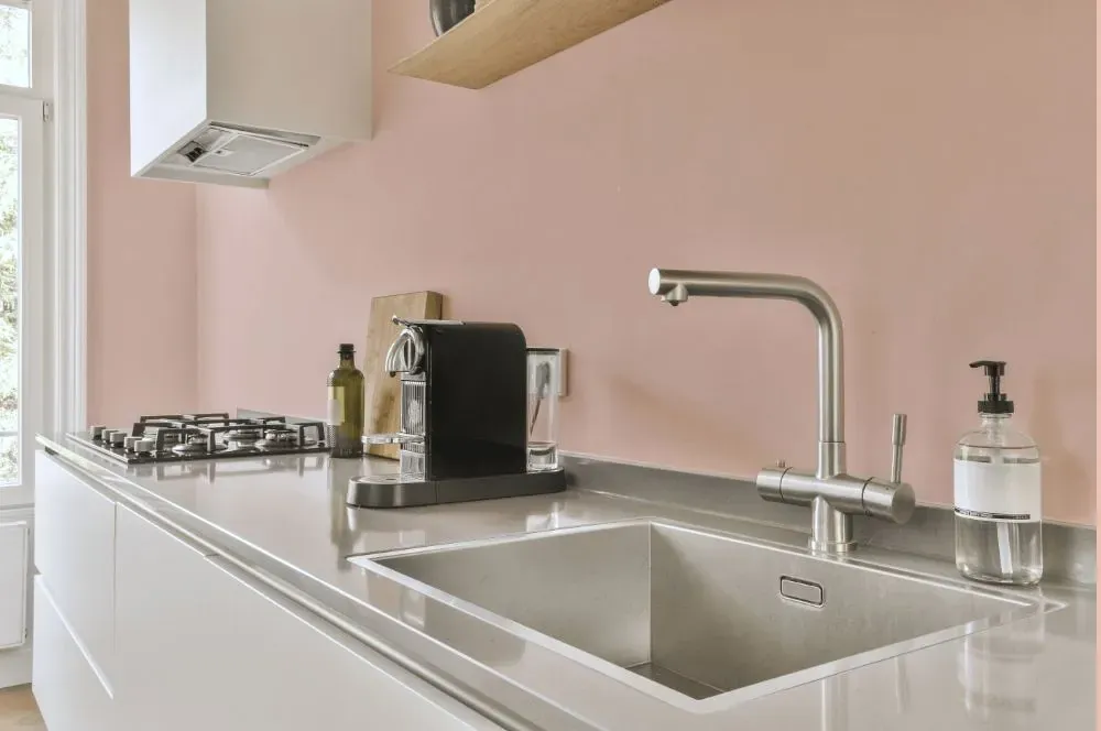 Benjamin Moore East Lake Rose kitchen painted backsplash