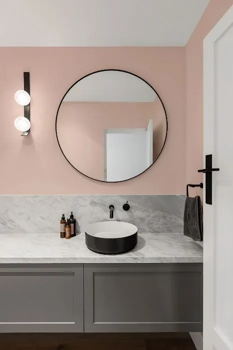 Benjamin Moore East Lake Rose minimalist bathroom