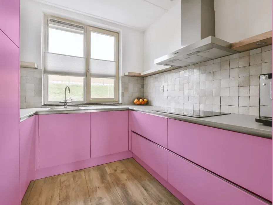 Benjamin Moore Easter Pink small kitchen cabinets