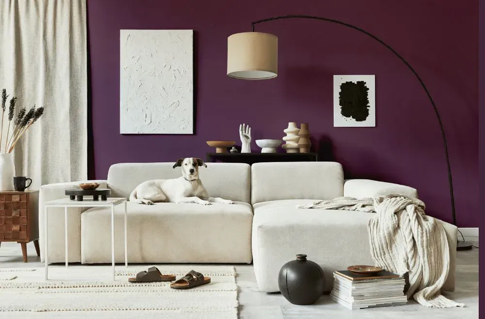 Benjamin Moore Eggplant cozy living room