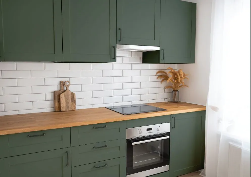 Benjamin Moore Enchanted Forest kitchen cabinets