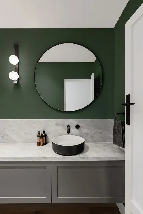 Benjamin Moore Enchanted Forest minimalist bathroom