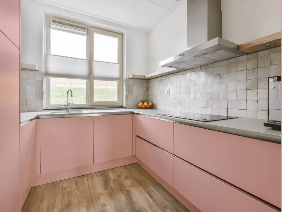 Benjamin Moore Eraser Pink small kitchen cabinets