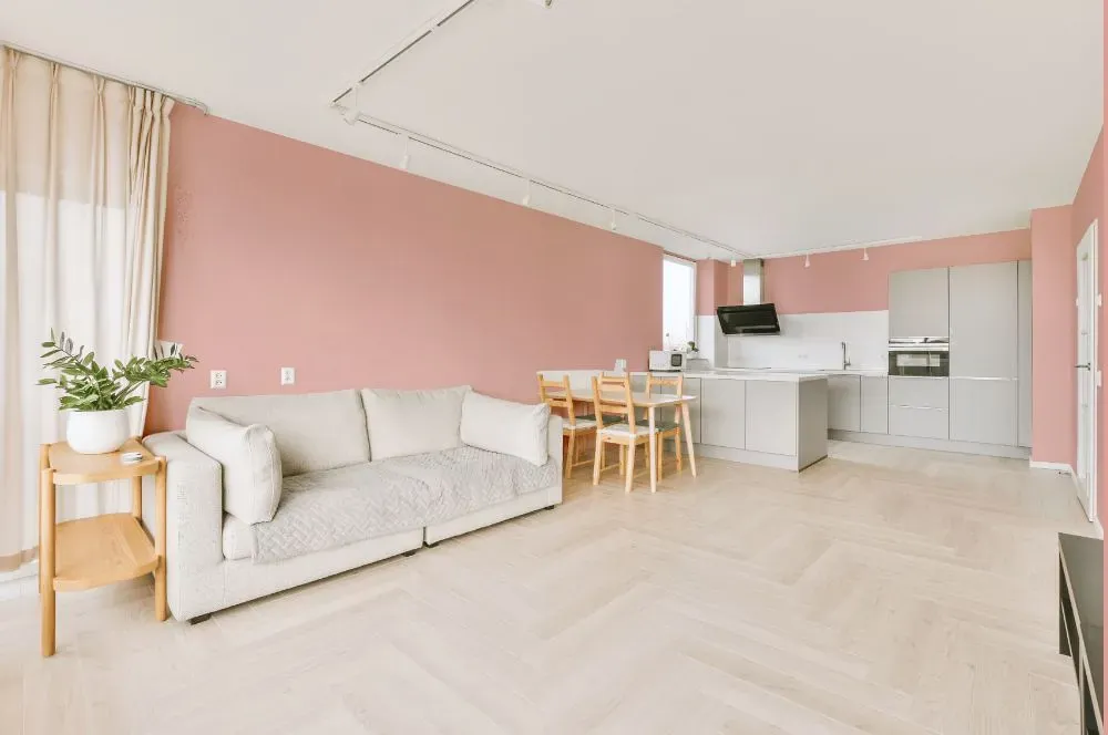 Benjamin Moore Eraser Pink living room interior