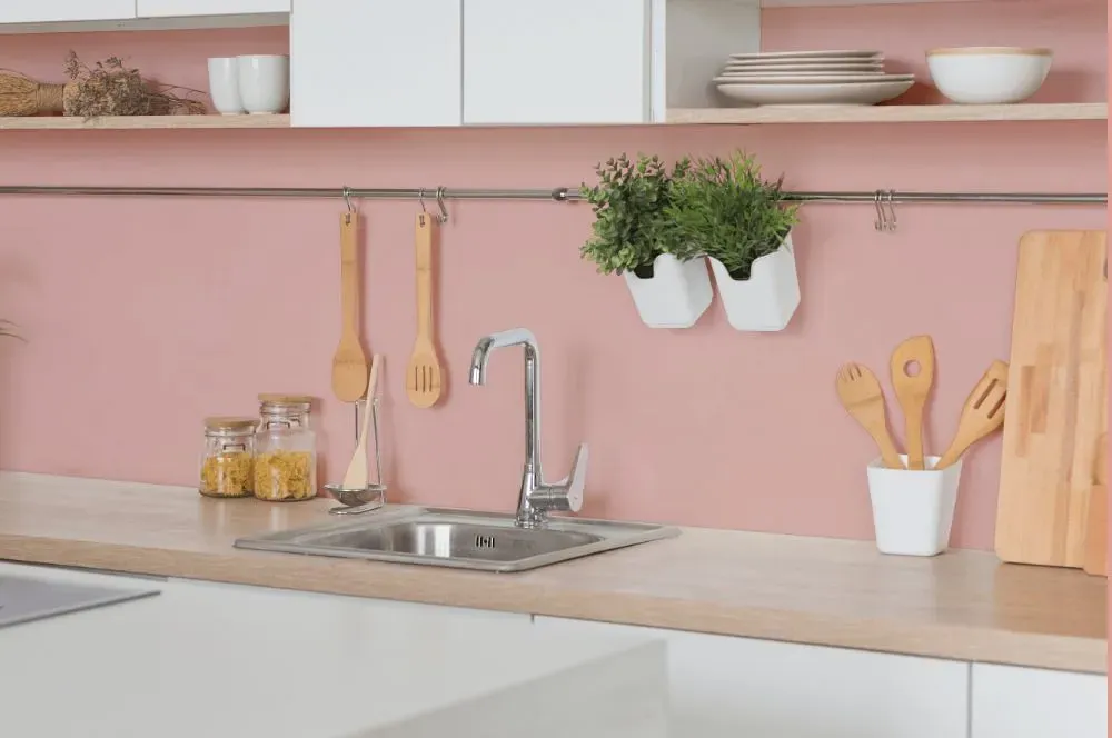 Benjamin Moore Eraser Pink kitchen backsplash
