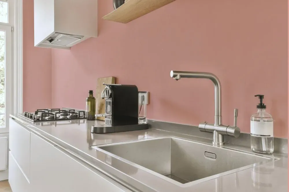 Benjamin Moore Eraser Pink kitchen painted backsplash