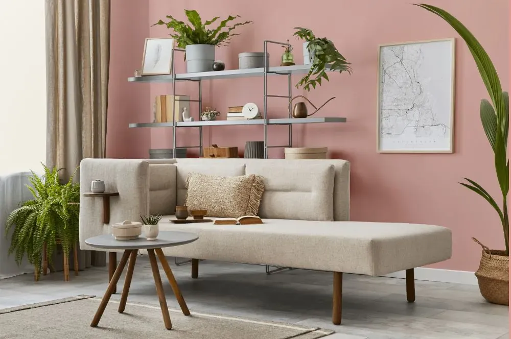 Benjamin Moore Eraser Pink living room