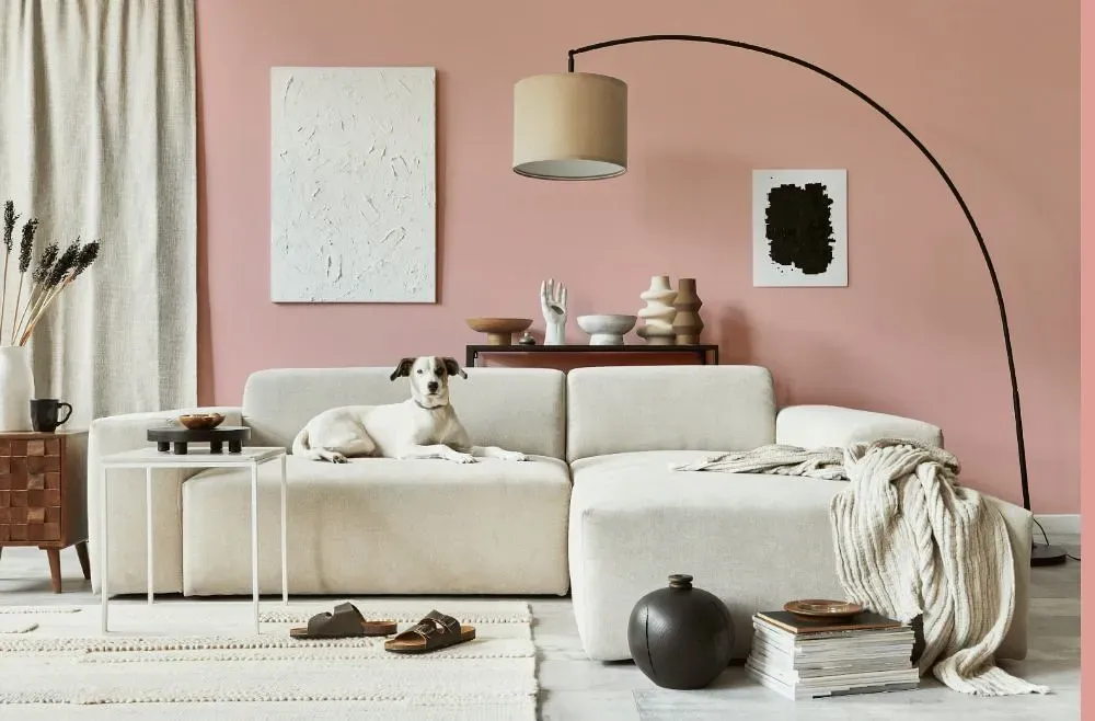 Benjamin Moore Eraser Pink cozy living room